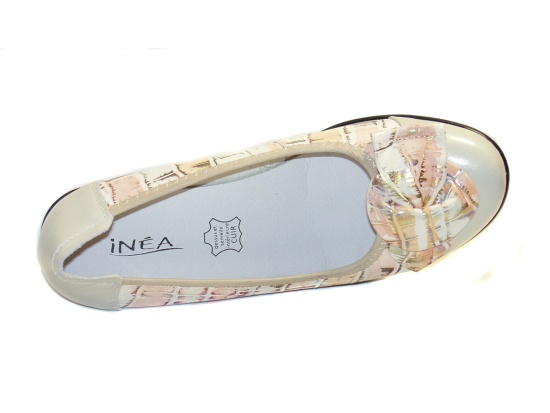 inea-suri-2